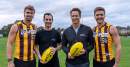 ARQ Group offers upskilling program for Hawthorn’s Box Hill Hawks Football Club and Hawks Netball Club