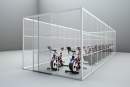 Box Altitude launches affordable alternative for high performance training