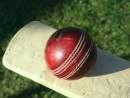 Record numbers playing cricket