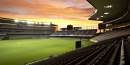 Massive data consumption by Lions Series rugby fans