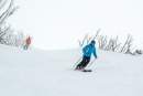 revolutioniseSPORT launches visual newsletter builder for community sporting organisations