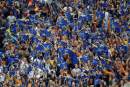 Stadium-based research aids understanding of group dynamics
