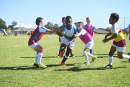 Leading recreation planner calls for Sport Australia to engage with local government to understand participation trends