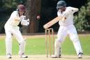 PlayHQ announces new partnership with New Zealand Cricket