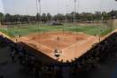 Softball Australia becomes latest NSO to partner with Belgravia Group
