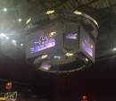 Sydney Kings makes agency announcements in advance of NBL return