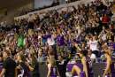 WNBL fan feedback drives greater competition engagement
